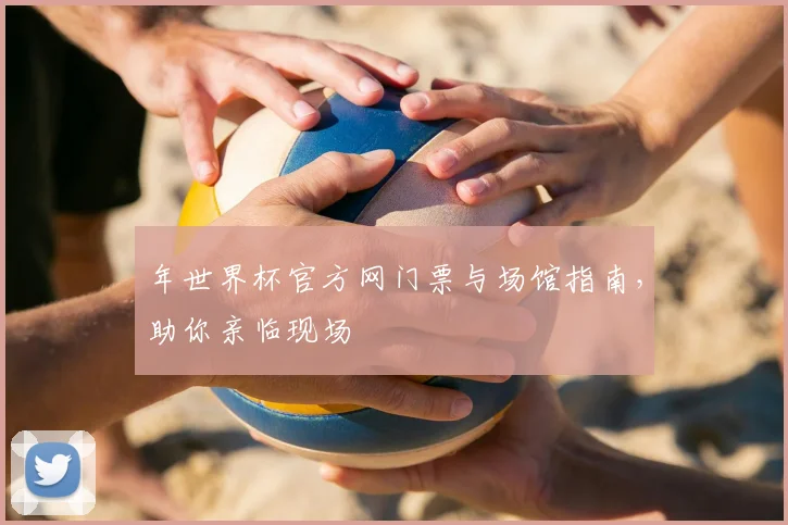 年世界杯官方网门票与场馆指南,助你亲临现场