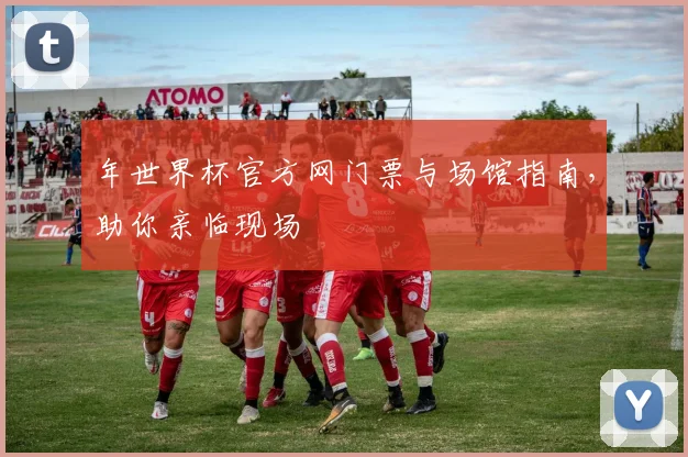 年世界杯官方网门票与场馆指南,助你亲临现场