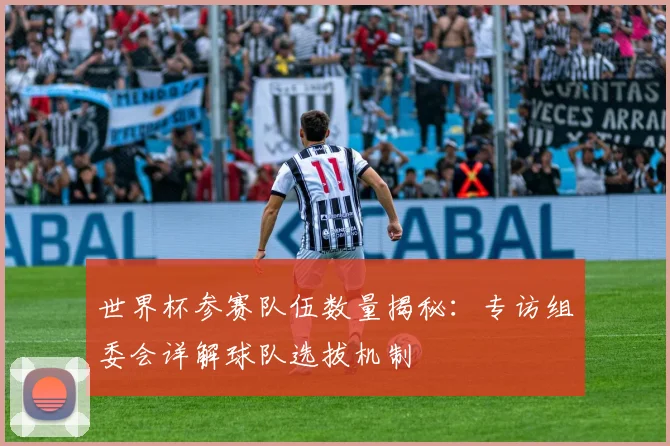 世界杯参赛队伍数量揭秘:专访组委会详解球队选拔机制