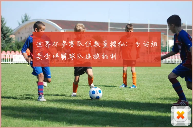 世界杯参赛队伍数量揭秘:专访组委会详解球队选拔机制