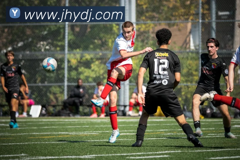 必一运动b官网平台生态图